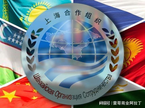 从G20到上合 世界秩序重构中的东方引力